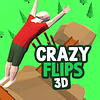 Crazy Flips 3D